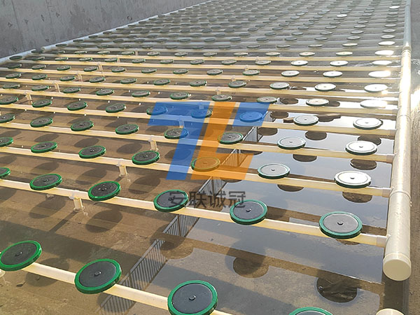 云南CASS生化池平板曝氣器安裝施工現場